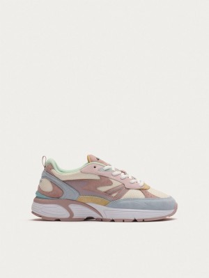 Basket Hoff Alaska Femme Multicolore | 4896-GZADF