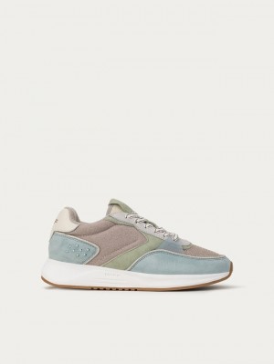 Basket Hoff Andersonville Femme Bleu Grise Vert | 2186-HNPDJ