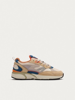 Basket Hoff Colorado Homme Multicolore | 2461-KNYDR