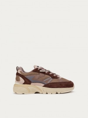 Basket Hoff Iowa Femme Marron | 3540-PMQEK