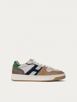 Basket Hoff Mandi House Homme Multicolore | 0239-JYXGL