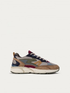 Basket Hoff Maryland Homme Multicolore | 1504-LDTFP