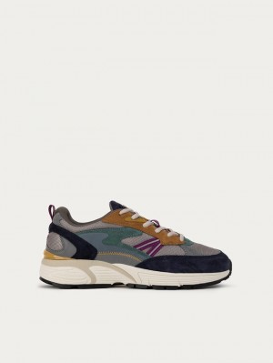 Basket Hoff Massachusetts Homme Multicolore | 8397-WNQKA