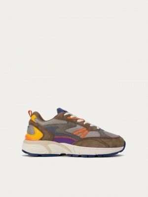 Basket Hoff Montana Femme Multicolore | 4875-USJBZ