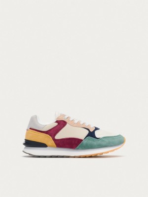 Basket Hoff Montreal Homme Multicolore | 3076-VTXHY