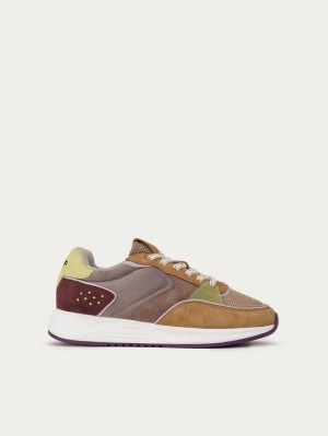 Basket Hoff Saúde Femme Multicolore | 6912-WYOVI