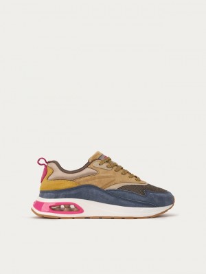 Basket Hoff Toronto Bay Femme Bleu Marine Marron | 2976-HJZDV